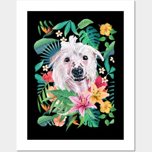 Tropical Chinese Crested Dog Posters and Art